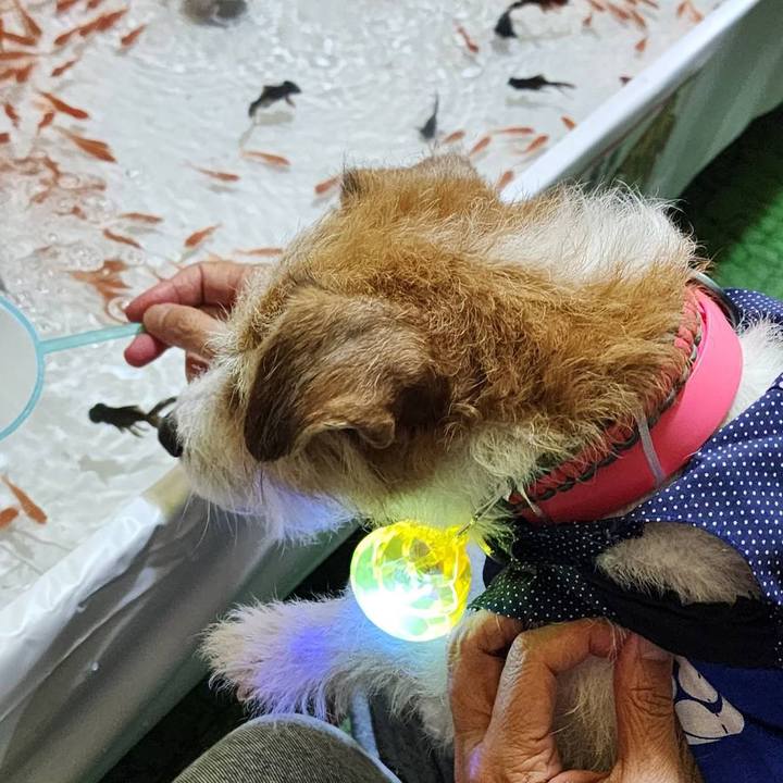 03a3d2ce 8a13 4781 aa2b f7f2e6cd1282 1725836772169