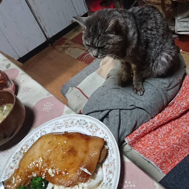 03a3fe18 6877 4fa3 9243 5cf0c8b654a4 1577186033032