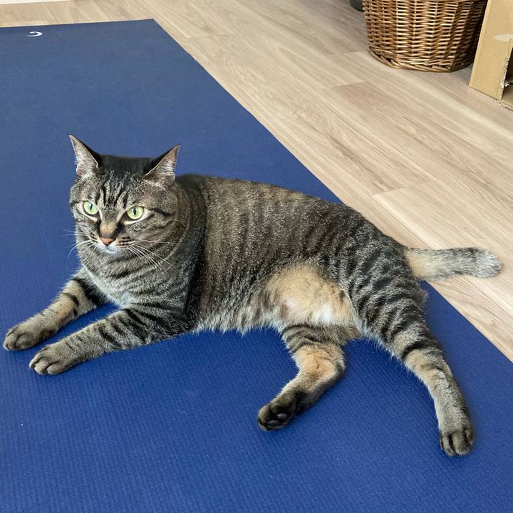 03a425ac 8f51 4031 bdba 4f16c995cc8d 1621735109574