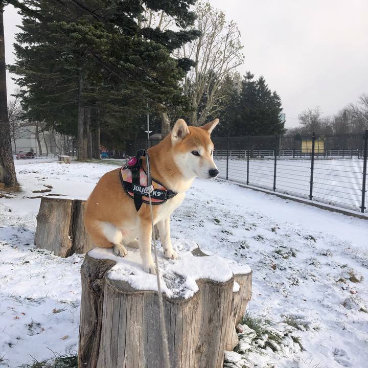 03a4b849 d679 44a0 bb5a 901acfcf113a 1574211357357