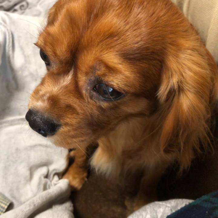 03a4ccf5 0957 4d6d 9f54 29465e07b798 1549887012687