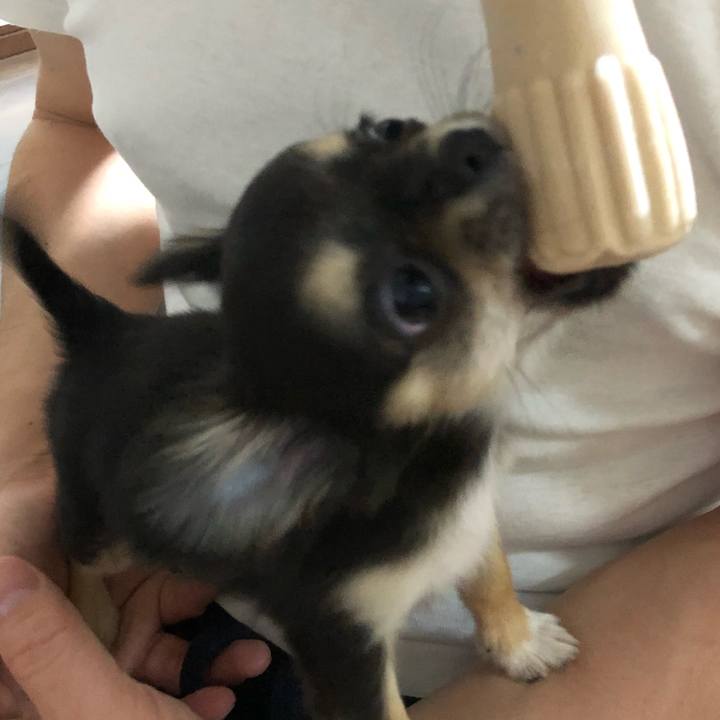 03a4e0d8 9a98 4b72 8ec0 d75e449889bc 1535889348394