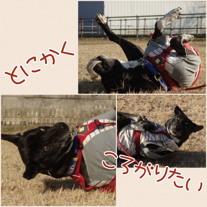 03a4e2b6 0db1 40d8 8ee5 d1760e0fdaf5 1677720719747