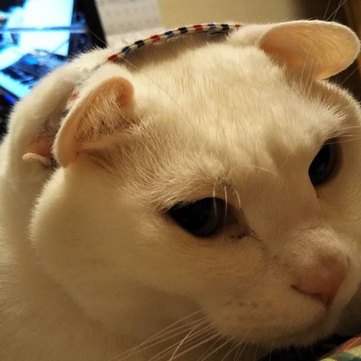 03a51d67 e012 4628 91b5 e5b199763970 1611108972418