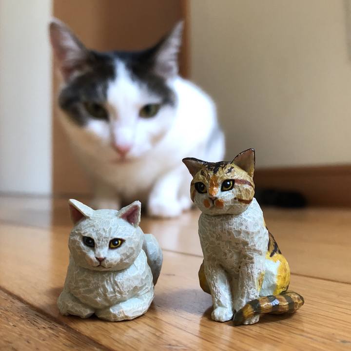 03a52785 d8b7 4e0c ba8f 72cb866fcf38 1598439717703