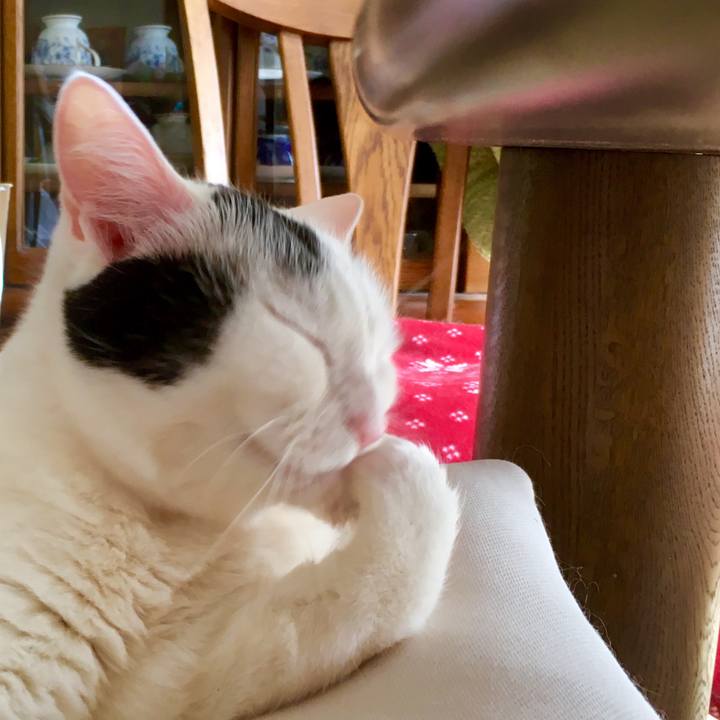 03a52f8b 5bdc 4d65 abd0 c9c539a12b25 1555711044490