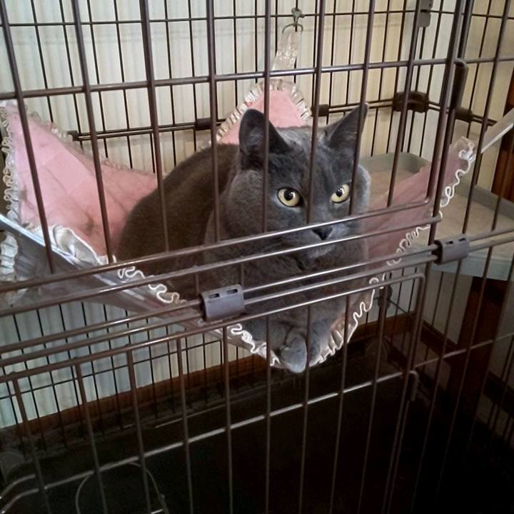 03a54e90 db3f 4748 8f0b a521d036faeb 1766402381618