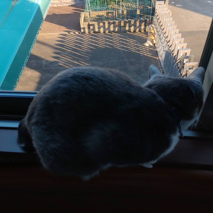 03a585fa fbf9 4168 9415 0ed3ead0314d 1673221558601