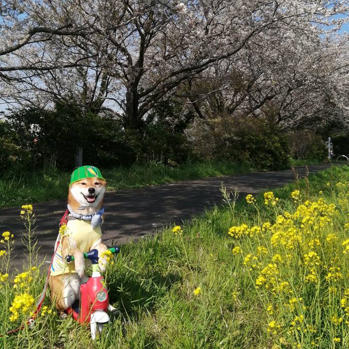 03a5b053 b366 44fc ad42 b930e86c33a1 1585989999664