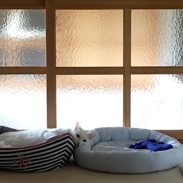 03a5c2fb 7c4a 43ff a166 acdc6a2ef744 1532214632502