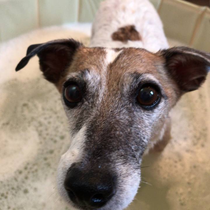 03a605bb 6ad5 4460 8251 704eeb5dde51 1536540326524