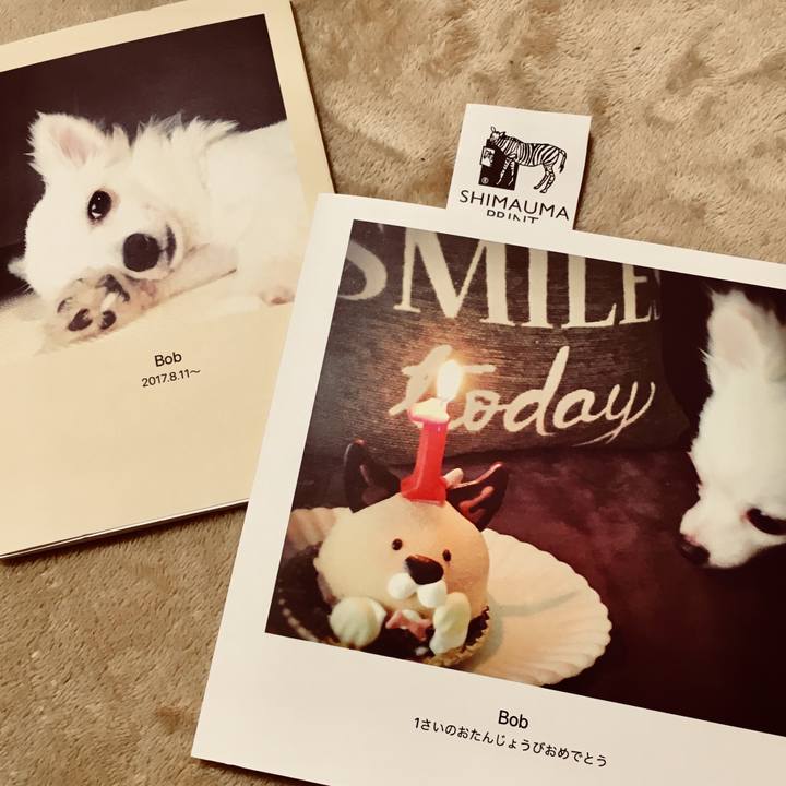 03a60b8e a655 489e 96be 9b3aa6824a2f 1520622794744