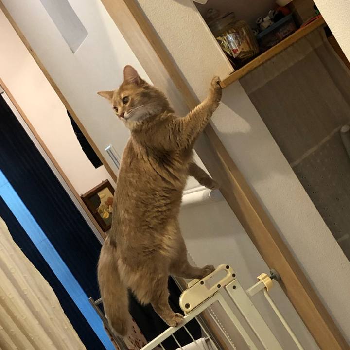 03a61763 39ad 4f15 a382 c7f5d778772e 1582330759656