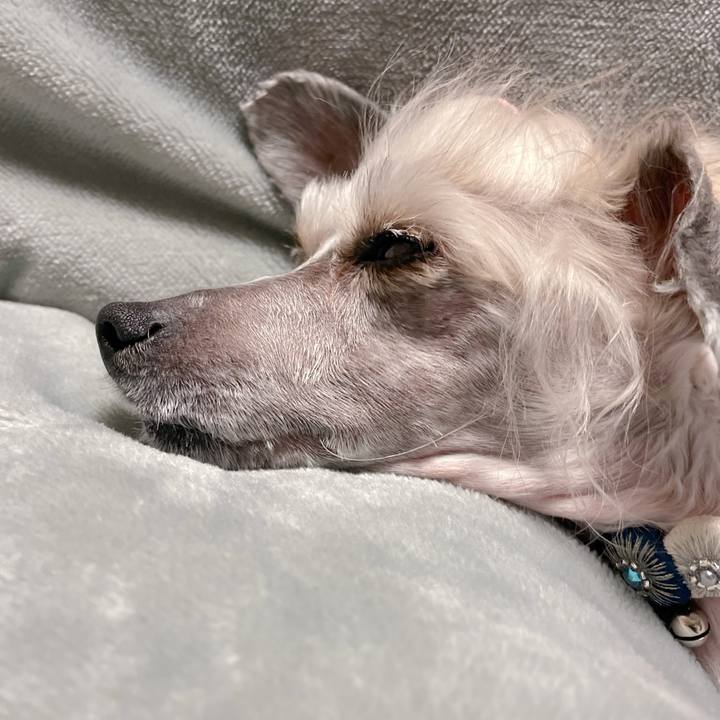 03a697aa 64ed 4762 bce3 3e530be01b5c 1768383681936