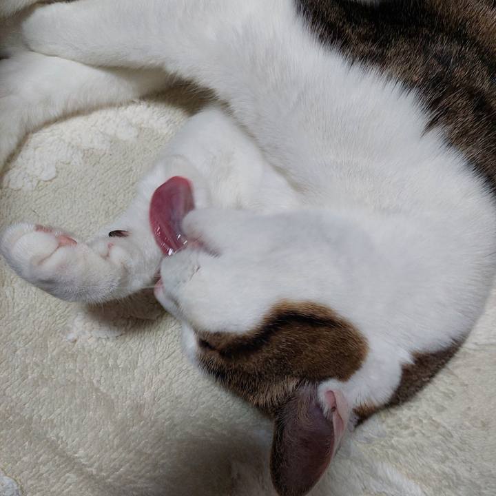 03a6ae4f 016a 4a37 a188 f15f5ae115e1 1741433304364