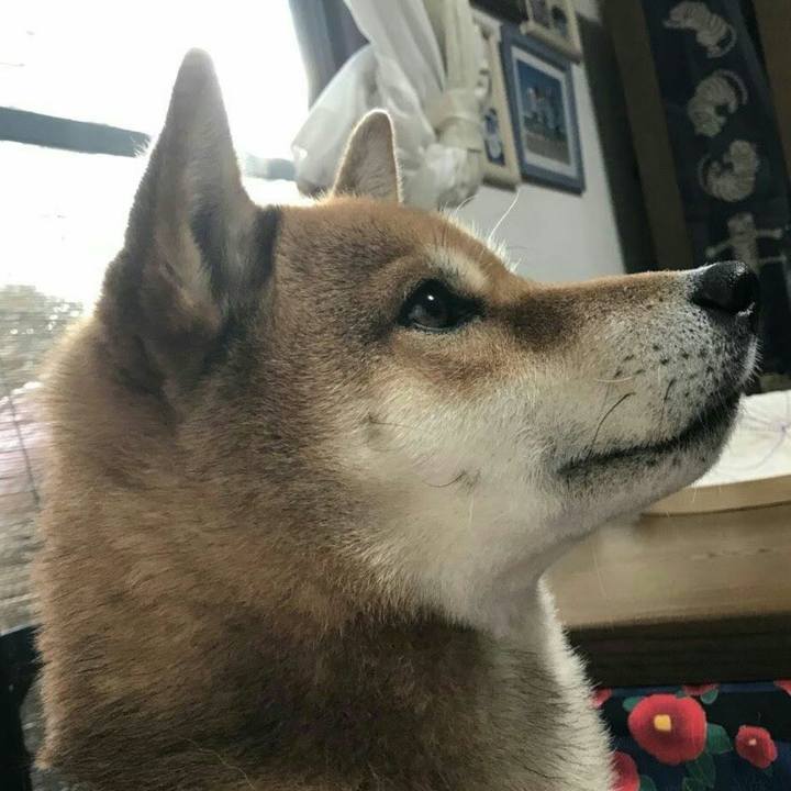 03a6f119 15d2 4c37 bb3a 6297e9301eee 1518612143844