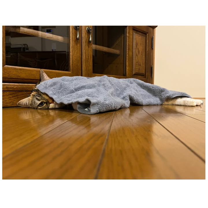 03a70ed7 450d 4635 9373 9cfd25318440 1763033927328