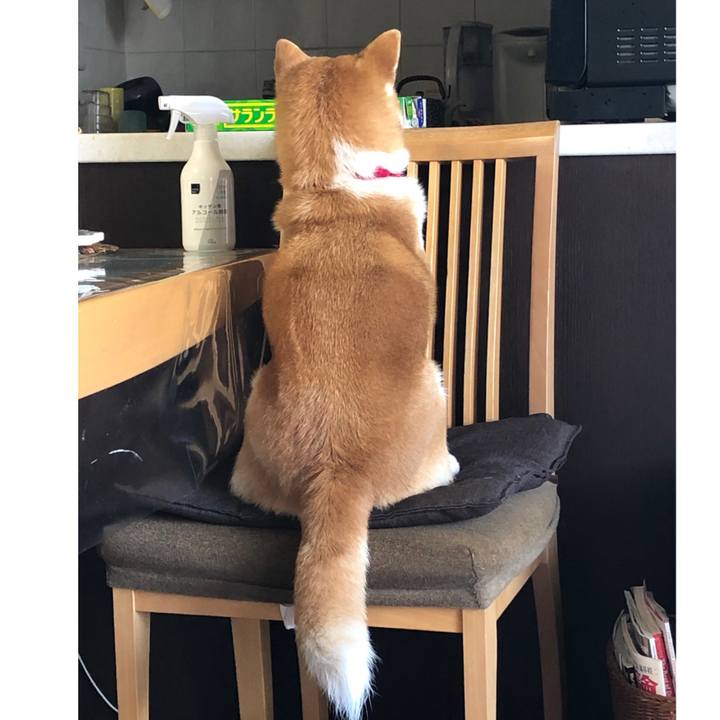 03a72cf1 7eab 4913 b720 28a46acbf96e 1583541341251