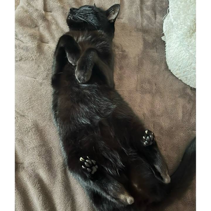 03a72d3f 8048 471d 8846 46d869c57d43 1765968664333