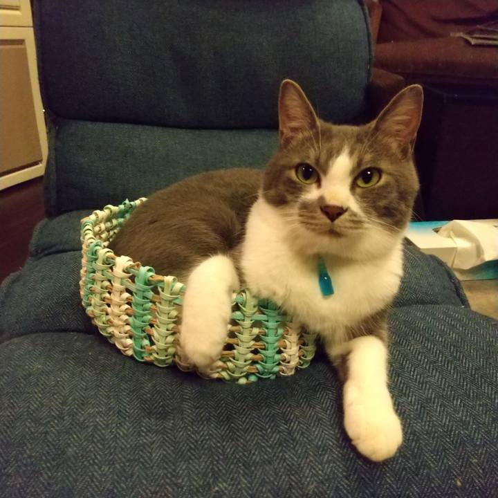 03a74bd9 6bda 4cdd a62b 3bd0de71b9b1 1623246120483