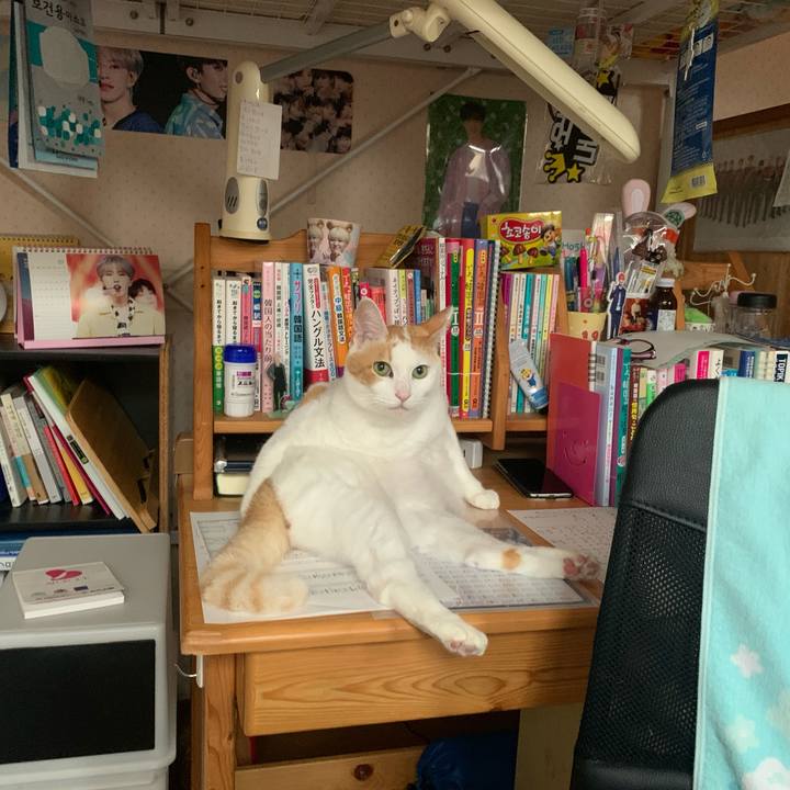 03a74c15 6470 4ea1 8dee 11a21b423555 1628931799631