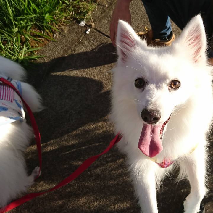 03a7c496 098e 49be 8282 00fa86e13bc2 1601195921768