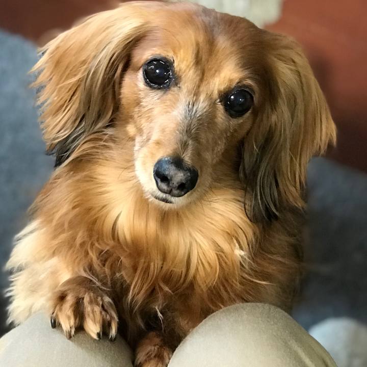 03a7e8f7 68af 4dd6 9f95 31d991371680 1564733438462