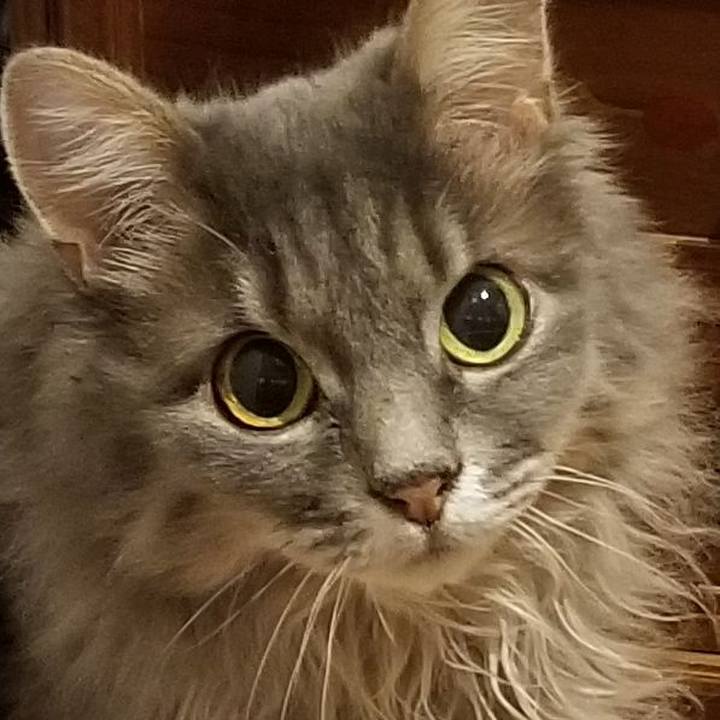 03a7ed11 f2b4 4f41 b5ce 9786c6dae6d0 1601115816614