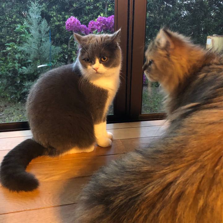 03a8445d ea97 49dc 9894 e750a49706e9 1557836898666