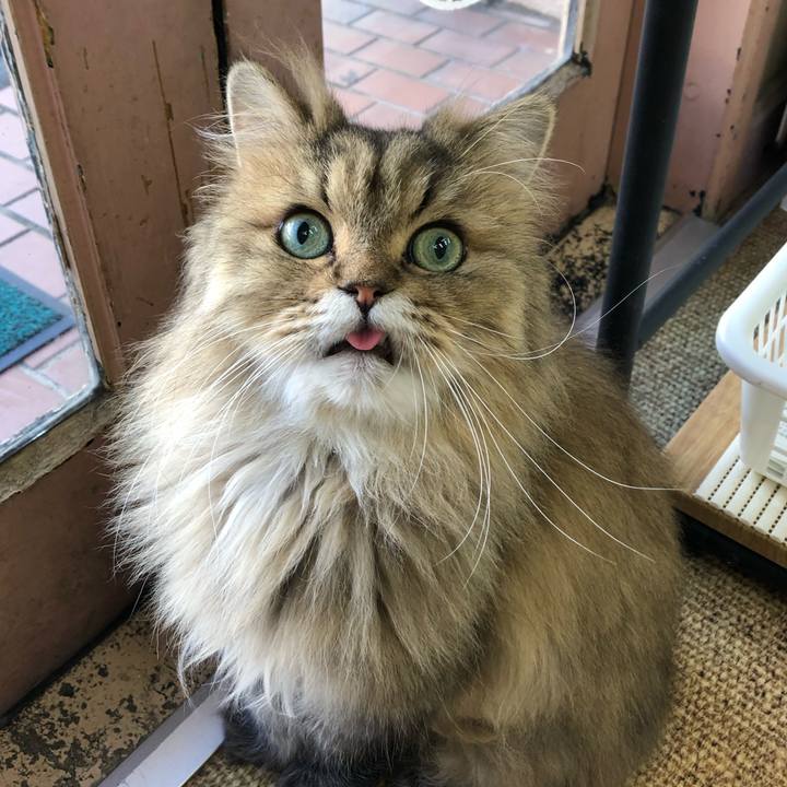 03a85563 742e 4089 8a57 f1bd875a3ba6 1577838984527