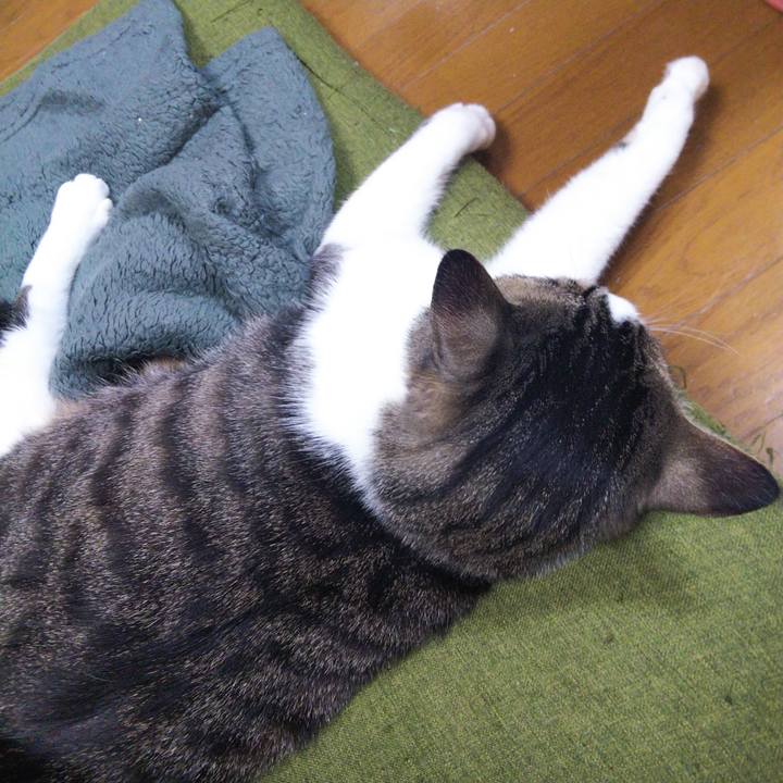 03a865ef efd4 477f bb79 d58fa6866f89 1648894789631