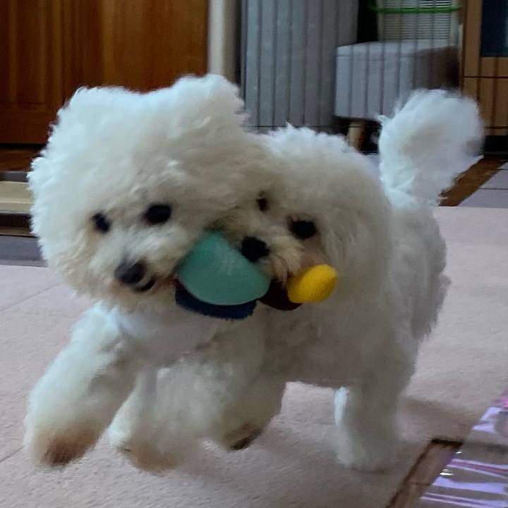 03a8c6cb 0405 4474 aab8 7e71e77fa564 1751085057925