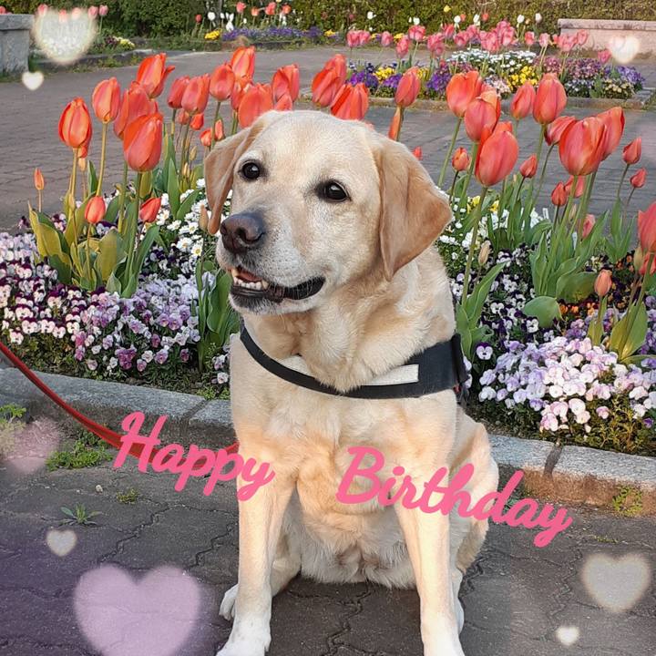 03a8d4f7 950c 4927 8f9e 88965bbdc3b0 1586997984256