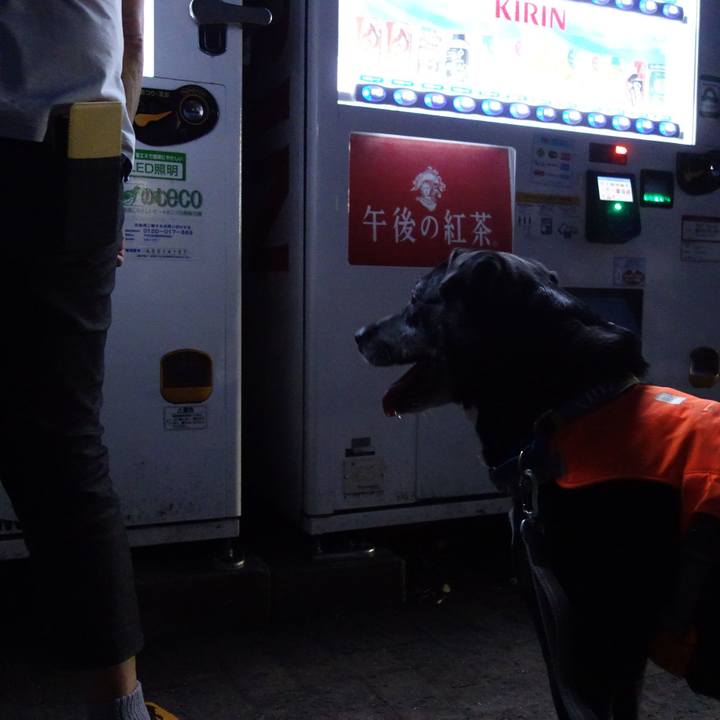 03a8dd51 45ac 4ec7 8d5a 2a9466d5f00c 1720351880760