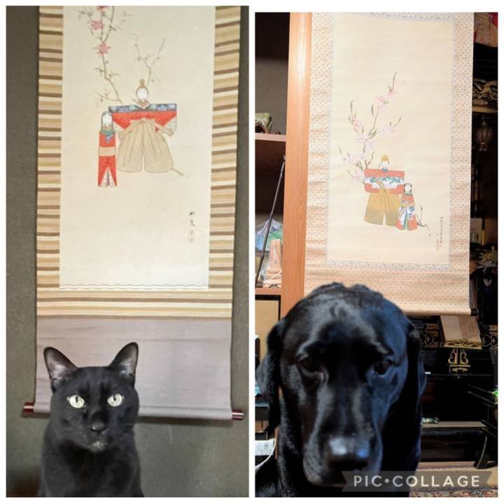 03a90412 2475 4358 8a85 064d1f7425ed 1772506836296