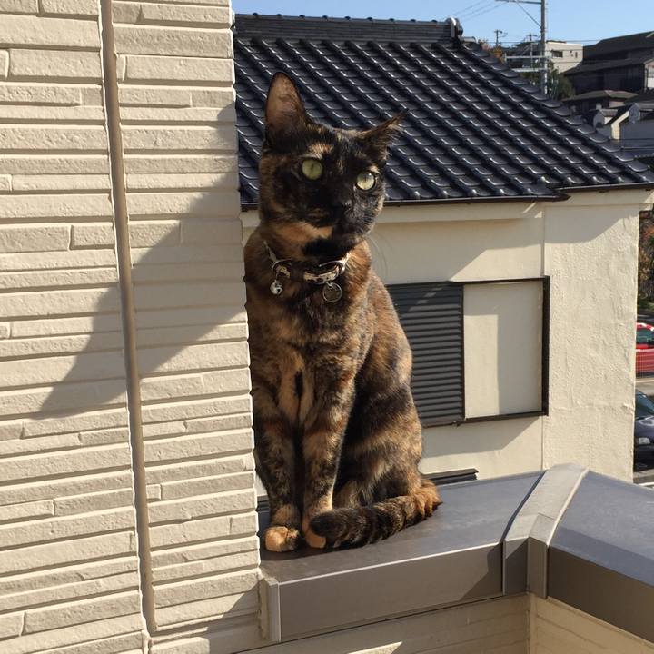 03a91353 6f97 4b19 a22b ba24a1f3fa17 1512270243928