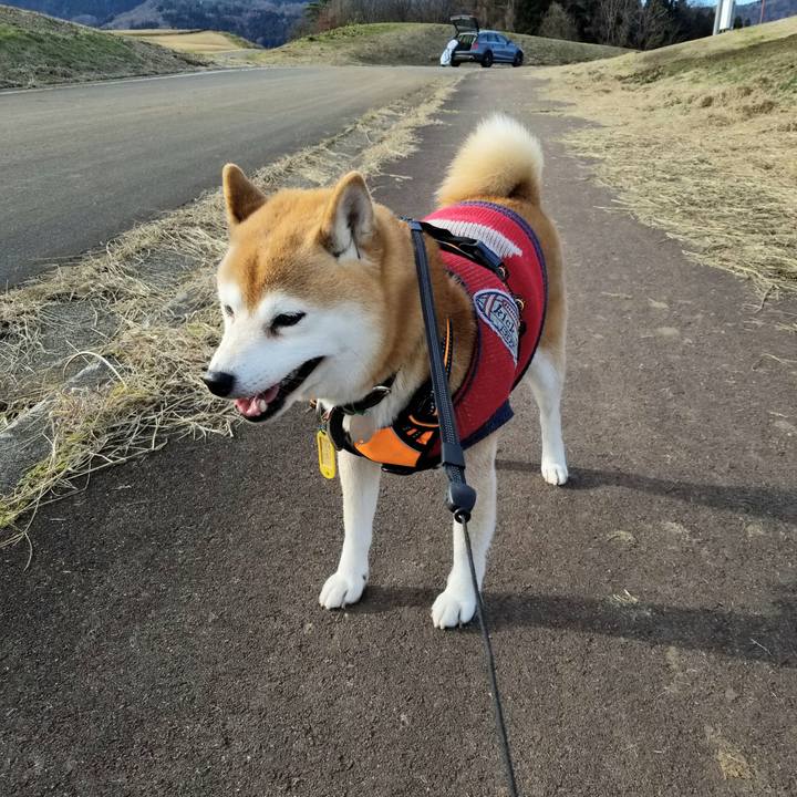 03a95fa3 fa2d 4891 9d5b d15c16adb8ca 1607490329846