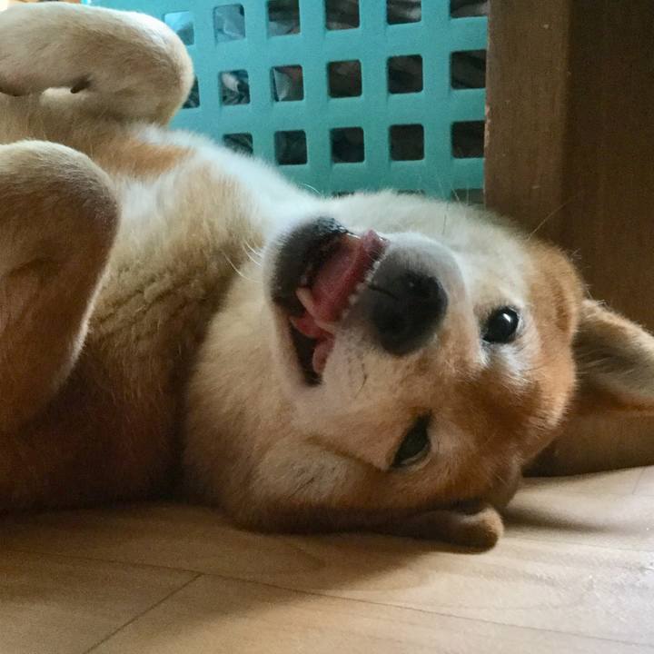 03a962b3 85d3 4401 9854 c6bbd1744b61 1591253692700