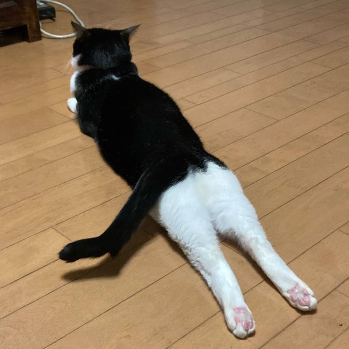 03a9679b 95b6 49b2 b00b 426c94ce5f6a 1638094051433