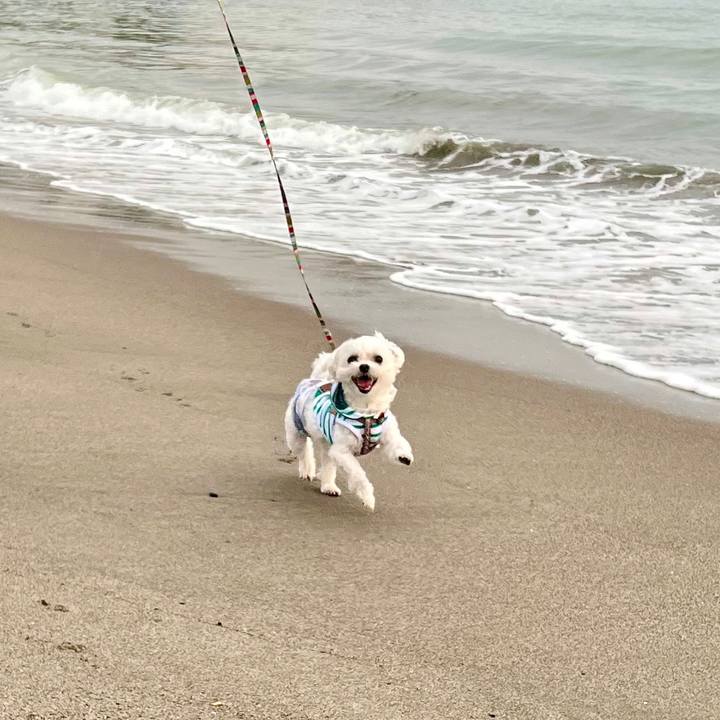 03a99669 e130 4488 ba70 363df5b155a2 1650865266961