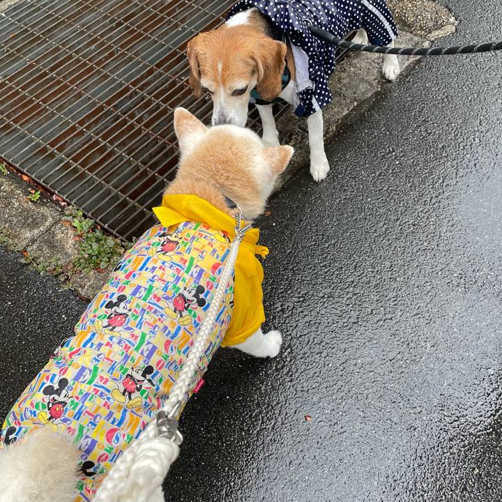 03a9f86b ac3d 4f09 b70e 8770bec42b39 1685437969388