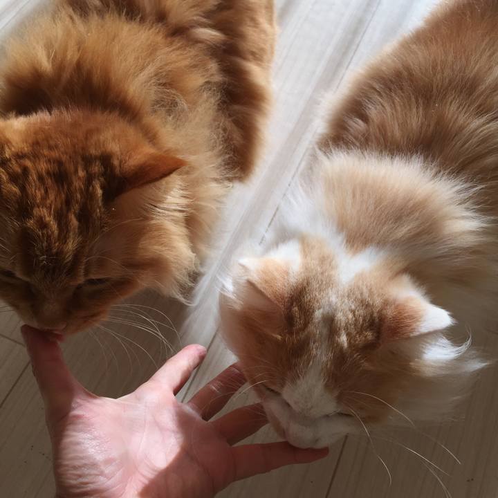 03aa1668 a203 462c a932 d5cbab2e05b6 1514412359936