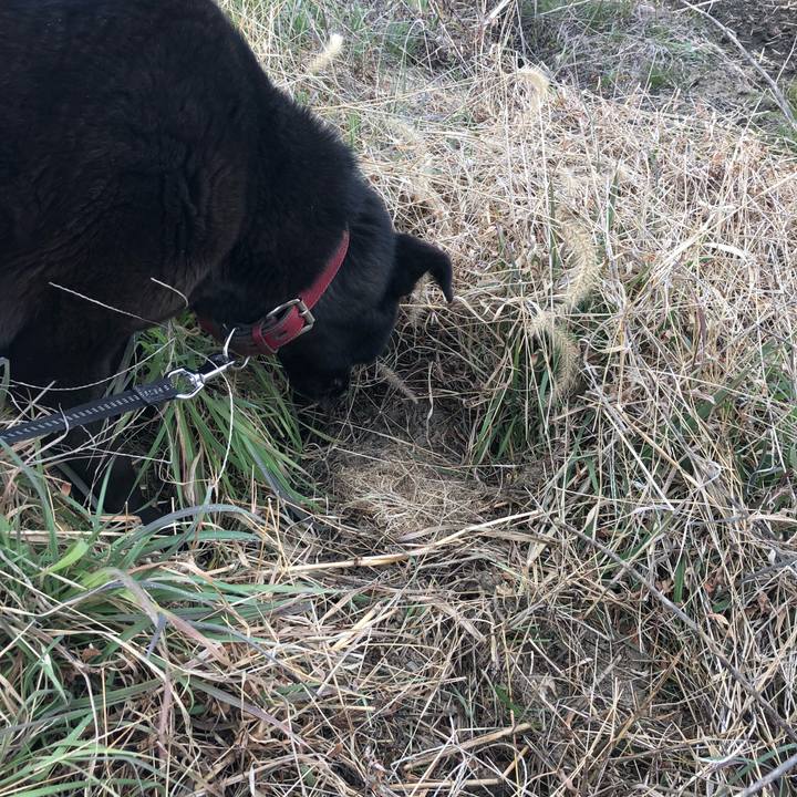 03aa5512 9a00 4040 933d 60447f3ed158 1552719167168