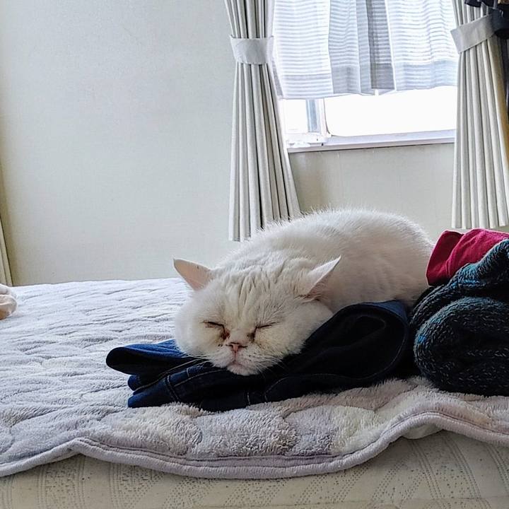 03aae530 4940 4a7f 8ee1 547c3937f405 1736548370787