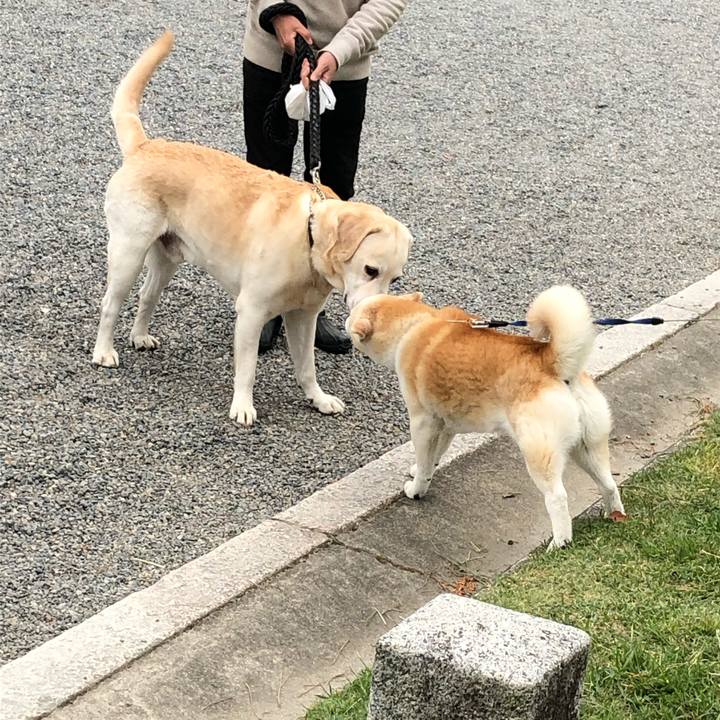 03ab1790 55dc 4ade b390 4df67db395b1 1556625079177