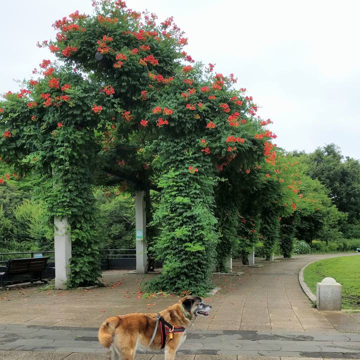 03ab2790 1496 44f2 91ec 4061e98f556a 1528764723372