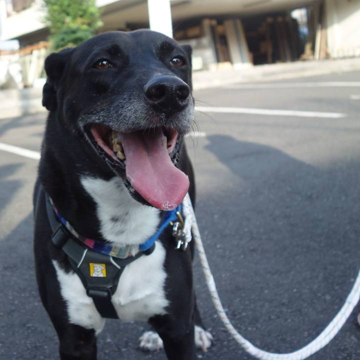 03ab4a3e 8faa 4e69 8593 afe51c442663 1663114644408