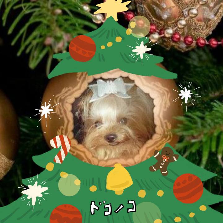 03ab61d0 7f00 46b5 91e5 f999c5188214 1761358084105