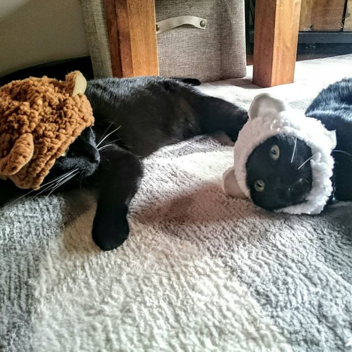 03ab8df2 7119 4da4 ab8d 76709515d25e 1514086373737