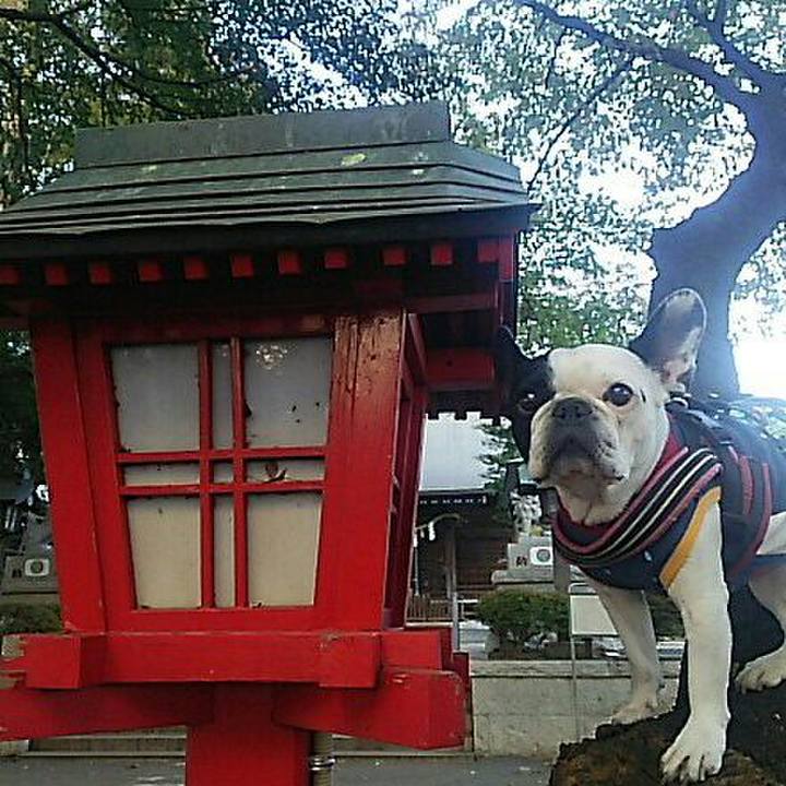 03ac3f71 827b 4fc9 8717 34076c7b9ed5 1541244923592